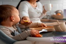 راهنمایی برای خرید صندلی غذا نوزاد
